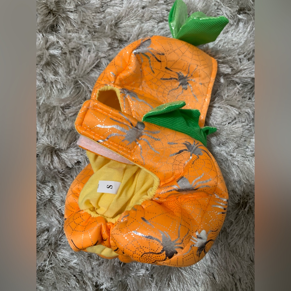 Dog Halloween Pumpkin Costume.